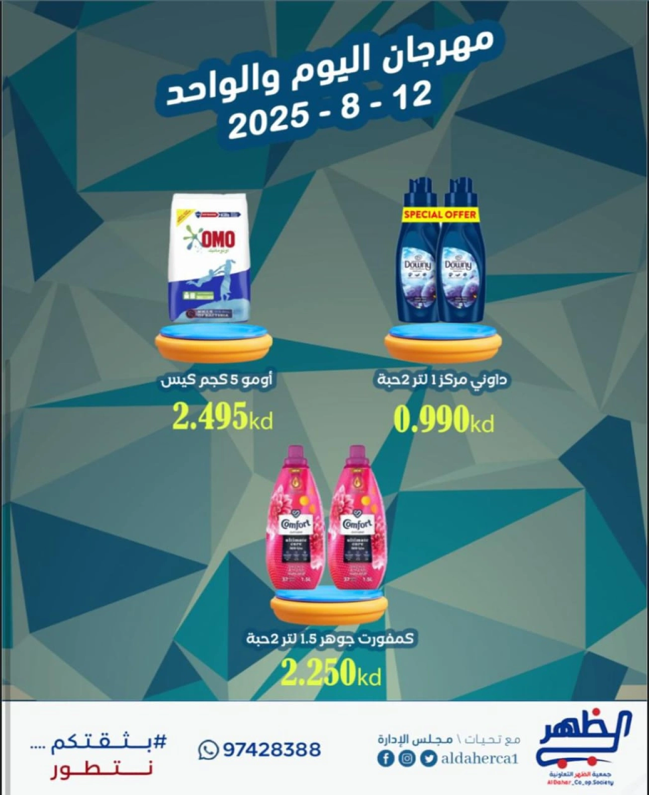 عرض اليوم الواحد - جمعية ضاحية الظهر