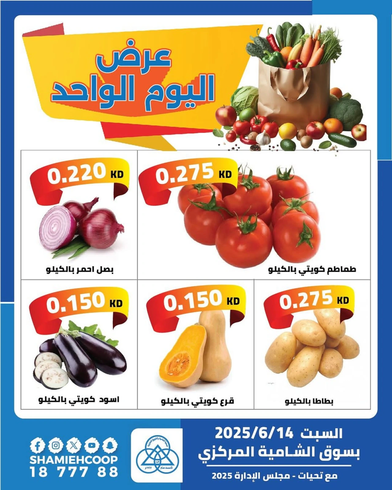 عرض اليوم الواحد