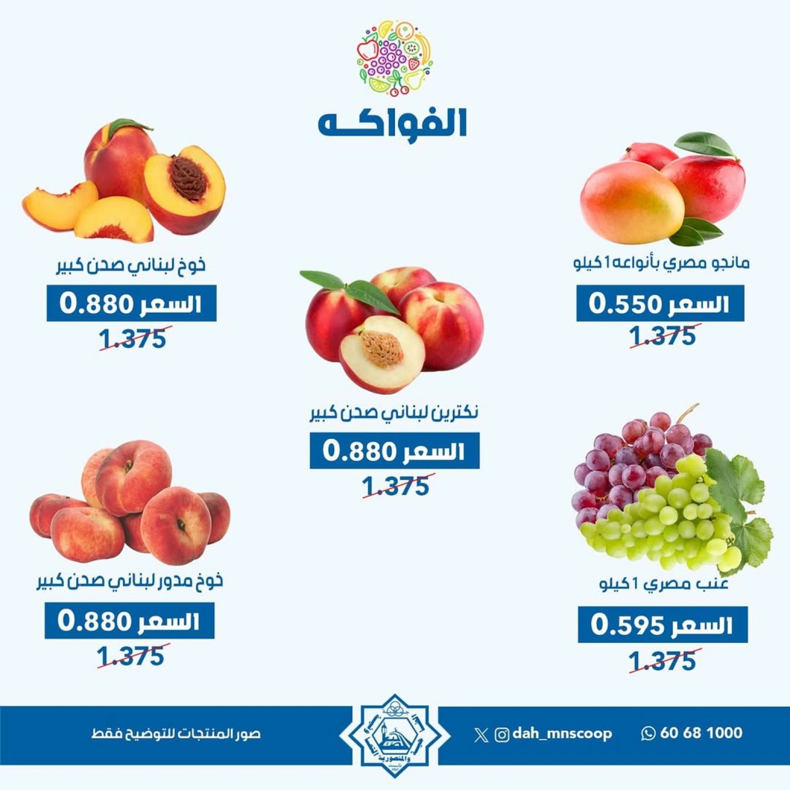عروض الخضار والفواكه - جمعية الضاحية والمنصورية