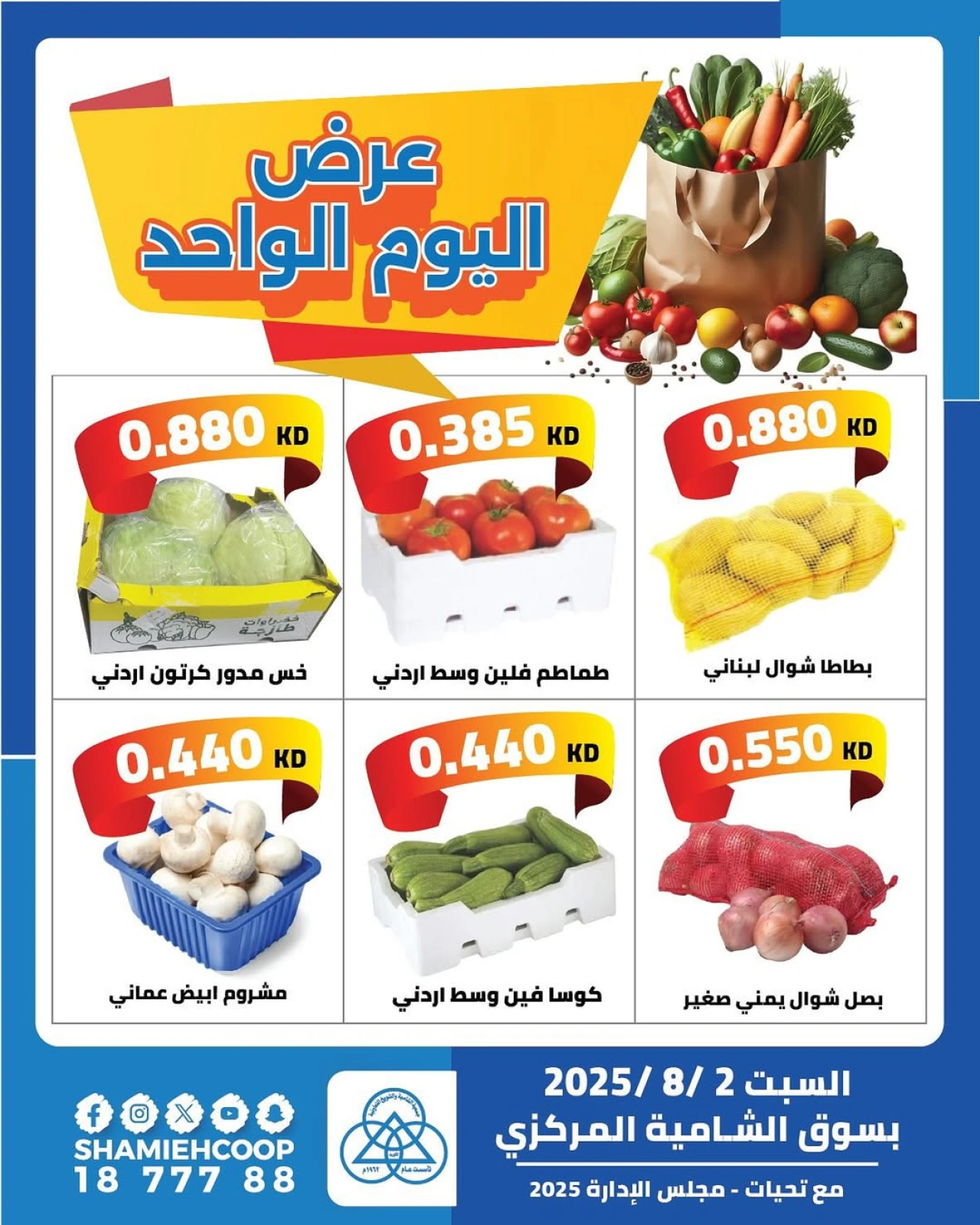 عرض اليوم الواحد