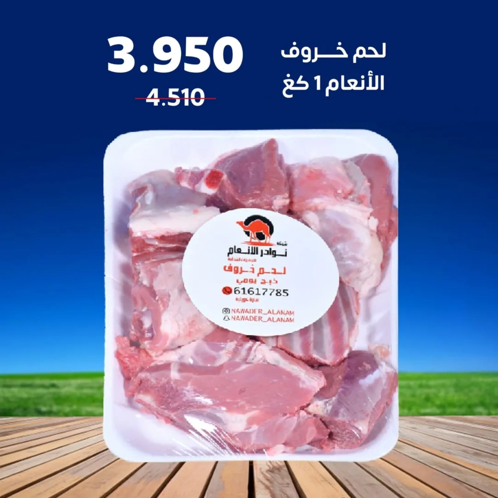 عروض مهرجان المتقاعدين - جمعية إشبيلية التعاونية